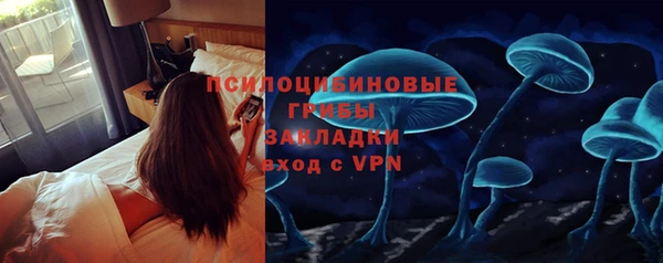 молекула духа Алексин