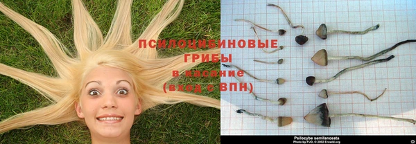 молекула духа Алексин