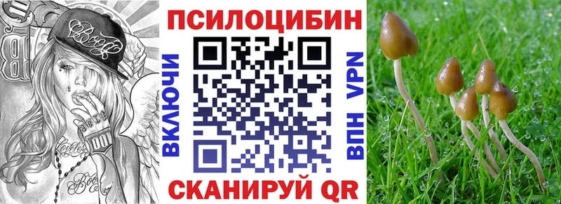 Псилоцибиновые грибы мицелий сайты даркнета наркотические препараты Междуреченск